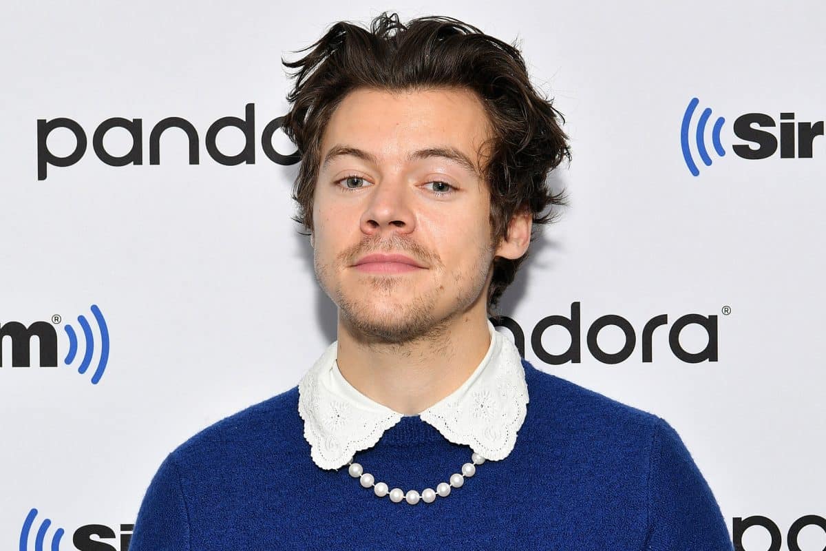 Style lesson: what did we learn from Harry Styles?